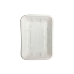 High quality disposable compostable sugarcane pulp meat tray for party