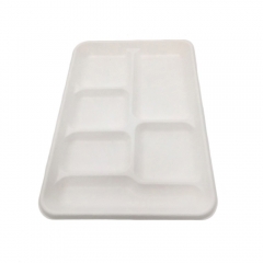 Wholesale High Quality Eco Biodegradable 6 Compartment Sugarcane Trays For Food