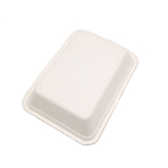 Wholesale Biodegradable Disposable Eco-friendly tray Sugarcane bagasse tray for food