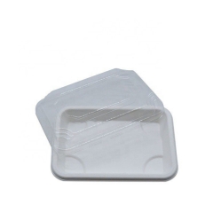 Zuckerrohr-Sushi-Tablett Großhandel Bagasse Umweltfreundliche Sushi-Box mit Deckel