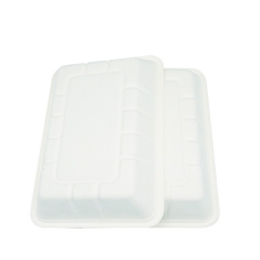 New Eco friendly biodegradable sugarcane meal tray for restaurant
