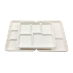 Eco friendly disposable biodegradable bagasse pulp lunch food tray