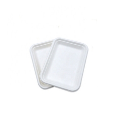 Manufacturer supply hot sale biodegradable trays sugarcane disposable eco friendly biodegradable trays food tray