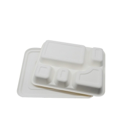 Umweltfreundliche  biologisch abbaubare Zuckerrohr-Bagasse Lunch-Tablett Fast-Food-Verpackung Tablett mit 5 Fächern