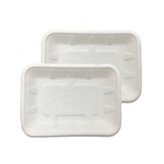 Disposable Biodegradable Sugarcane Bagasse Takeaway White Fruit Tray