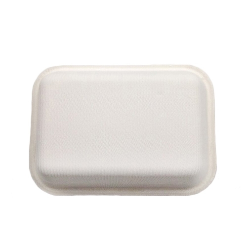 Disposable Bagasse tray biodegradable sugarcane food trays