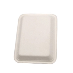 Plateau de viande de canne à sucre rectangle biodégradable jetable portable respectueux de l'environnement