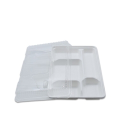 New Eco-friendly biodegradable 5 compartment sugarcane bagasse lunch tray