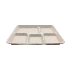 Composable Tray Sugarcane Biodegradable Disposable Food Tray for School