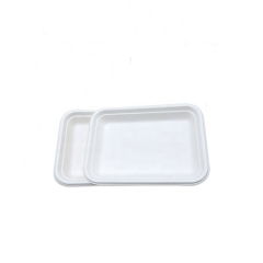 Manufacturer supply hot sale biodegradable trays sugarcane disposable eco friendly biodegradable trays food tray