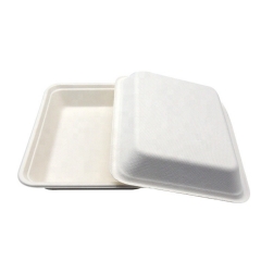 Bandeja de bagazo de caña de azúcar de alimentos compostables ecológicos