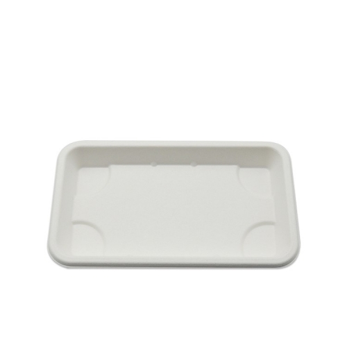Disposable biodegradable sugarcane sushi tray with transparent lid