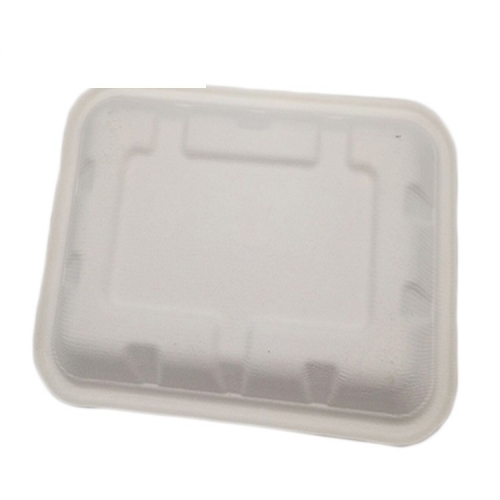 White Biodegradable Sushi Disposable Food Packaging Meat Trays