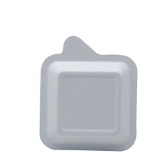 Disposable Tray Compostable Bagasse Disposable Sugarcane Cake Tray