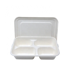 Disposable Biodegradable 4 compartment Sugarcane Food Tray With Cover