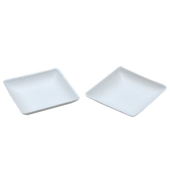 the most competitive white square sugarcane tray for the Europe market