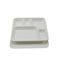 Eco-friendly Biodegradable sugarcane bagasse lunch tray fast food packaging 5 compartment tray