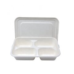 Disposable bagasse bento food tray for restaurant takeaway