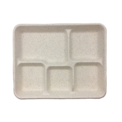 Zuckerrohr-Tablett Bagasse Biologisch abbaubare 5-Fach-Lunch-Food-Tabletts