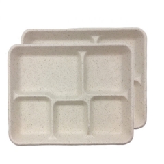 Disposable Tray Bagasse 5 Compartment Unbleached Lunch Trays