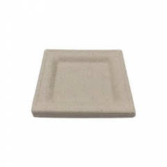 Disposable Compostable Bagasse Disposable Square Trays