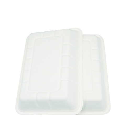 decomposable tray biodegradable sugarcane bagasse food tray eco-friendly