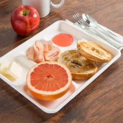 Freezable Eco-friendly Sugarcane Dinnerware Sets Bagasse Tray for Food