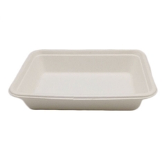 Hot Selling Biodegradable Sugarcane Food Trays Disposable Packaging Food Tray
