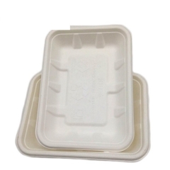 White Biodegradable Sushi Disposable Food Packaging Meat Trays