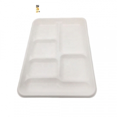 White Disposable Biodegradable 6-Compartment Sugarcane Trays For Food