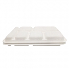 Wholesale High Quality Eco Biodegradable 6 Compartment Sugarcane Trays For Food