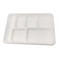 Bandejas biodegradables disponibles blancas de la caña de azúcar de 6 compartimentos para la comida