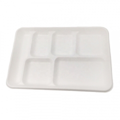 White Disposable Biodegradable 6-Compartment Sugarcane Trays For Food