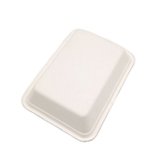 New arrival sugarcane bagasse tableware disposable biodegradable supermarket meat tray