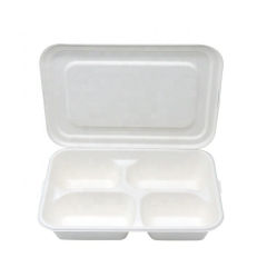 Eco Friendly Compostable Sugarcane Bagasse Tray With Lid