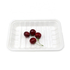 Disposable Biodegradable Sugarcane Food Trays