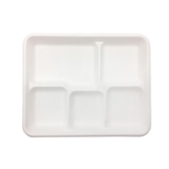 Eco Friendly Takeout Sugarcane 5 Compartment Disposables Food Tray
