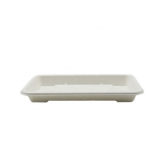 Reasonable Price Eco Biodegradable Compostable Disposable Tray