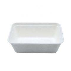 Airline Elegant Design Biodegradable Sugarcane Bagasse Sushi Tray