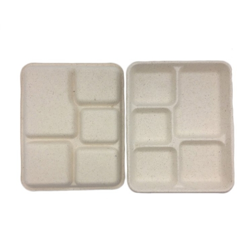 5 Fächer biologisch abbaubare Zuckerrohr-Bagasse Lunch-Tablett
