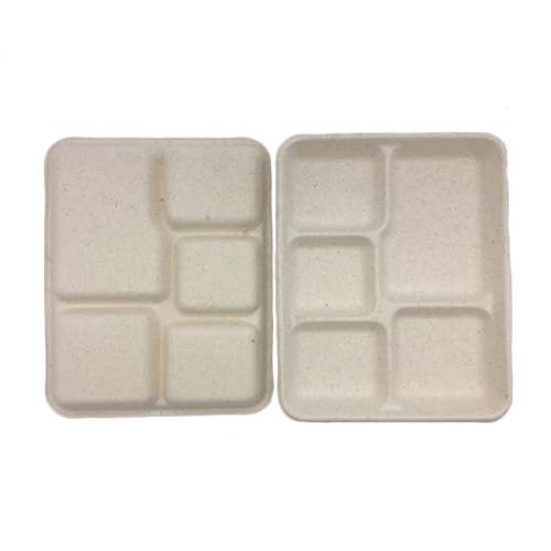 5 compartments biodegradable sugarcane bagasse lunch tray