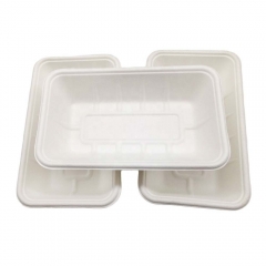 Bandejas compostables biodegradables del almuerzo del bagazo de la caña de azúcar disponibles