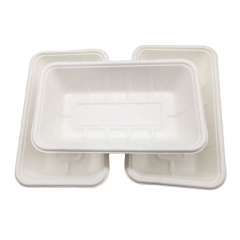 Biodegradable Compostable Sugarcane Bagasse Lunch Trays Disposable