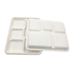 100% biodegradable disposable sugarcane food tray for party