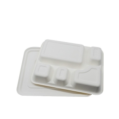 Biologisch abbaubare Zuckerrohr-Bagasse 5-Fach-Tabletts mit Deckel