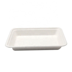 Biodegradable Bagass School Lunch Food Trays