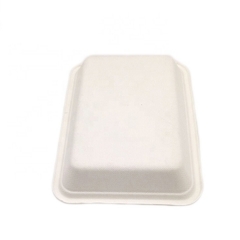 Plateau jetable compostable biodégradable de canne à sucre de bagasse de 650ML