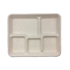 Bandeja de almuerzo de bagazo de caña de azúcar biodegradable de 5 compartimentos