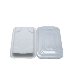 Biodegradable Sugarcne Sushi Box Sushi Takeaway tray