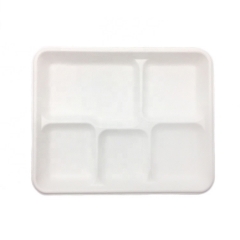 Plateau Bagasse Canne à Sucre Biodégradable Retangle Plateaux Alimentaires Compostables